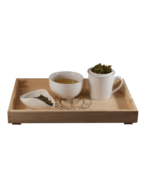 Lung Ching Special tè verde - La Pianta del Tè shop online