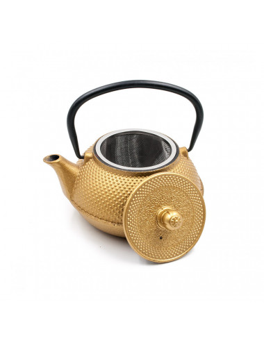 Teiera oro ghisa stile giapponese con infusore tè - La Pianta del Tè Negozio online