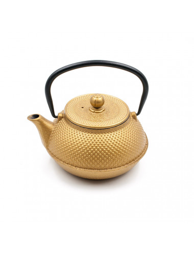 Teiera in ghisa oro brillante design giapponese - La Pianta del Tè Shop online