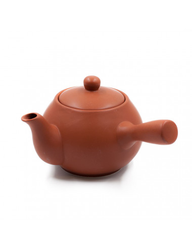 Una teiera in terracotta per uno solo tipo di tè - La Pianta del Tè Acquista adesso