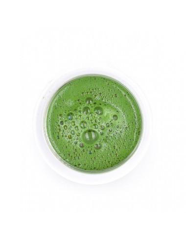 Tè Matcha Cerimoniale Japan Rarity Bio dal sapore Umami - La Pianta del Tè Store online