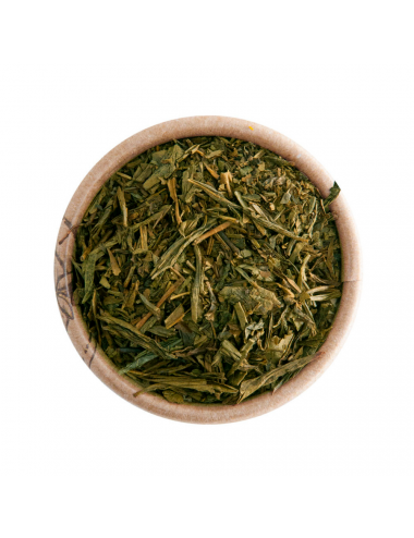 Kukicha BIO tè verde - La Pianta del Tè shop online