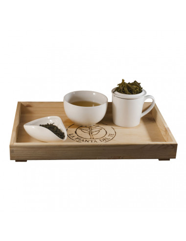 Tè Japan Sencha tea taster - La Pianta del Tè vendita online