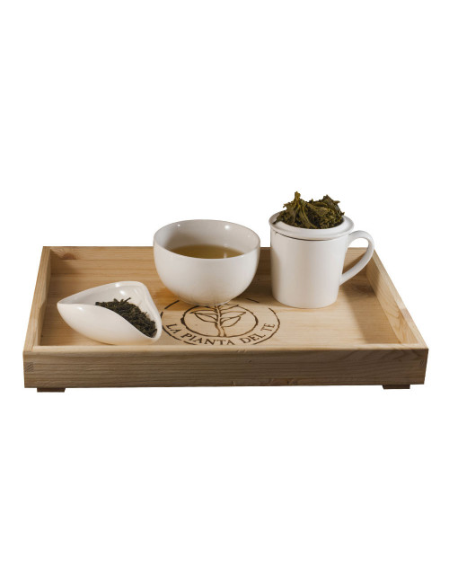 Japan Sencha tè verde - La Pianta del Tè shop online