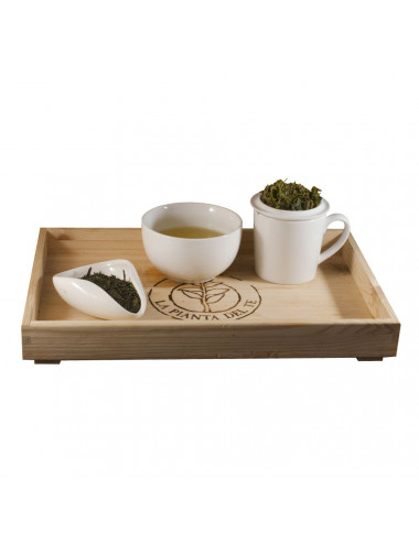 Tè Japan Bancha tea taster - La Pianta del Tè vendita online