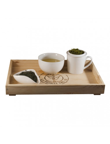 Tè Japan Gyokuro BIO tea taster - La Pianta del Tè vendita online