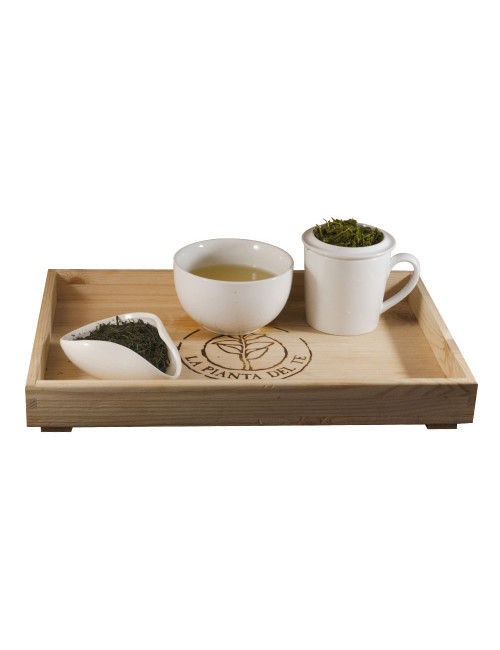 Japan Gyokuro BIO tè verde - La Pianta del Tè shop online