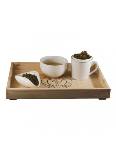 Tè verde al Ginseng tea taster - La Pianta del Tè vendita online