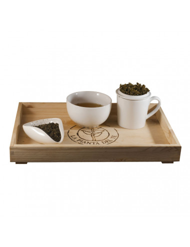 “Tuareg” Tè Verde alla Menta tea taster - La Pianta del Tè vendita online