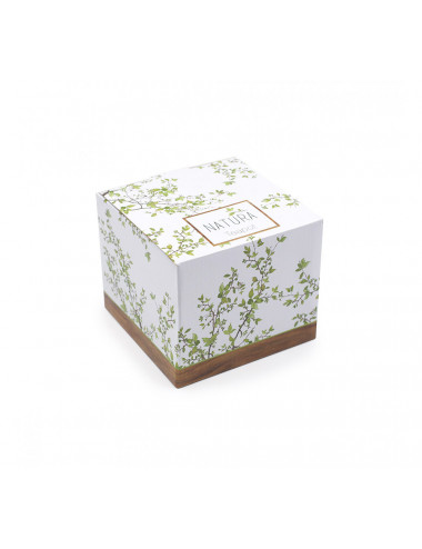 Confezione regalo coordinata teiera in porcellana Natura - La Pianta del Tè acquista online