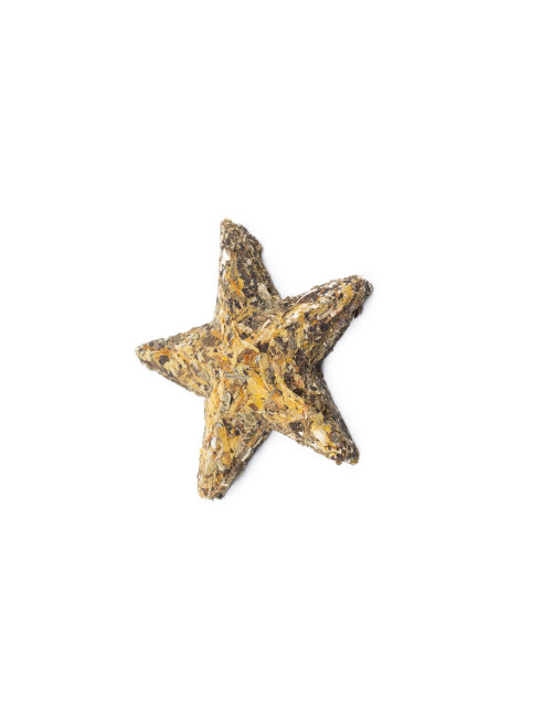 Tè verde pressato a forma di stella - La Pianta del Tè shop online