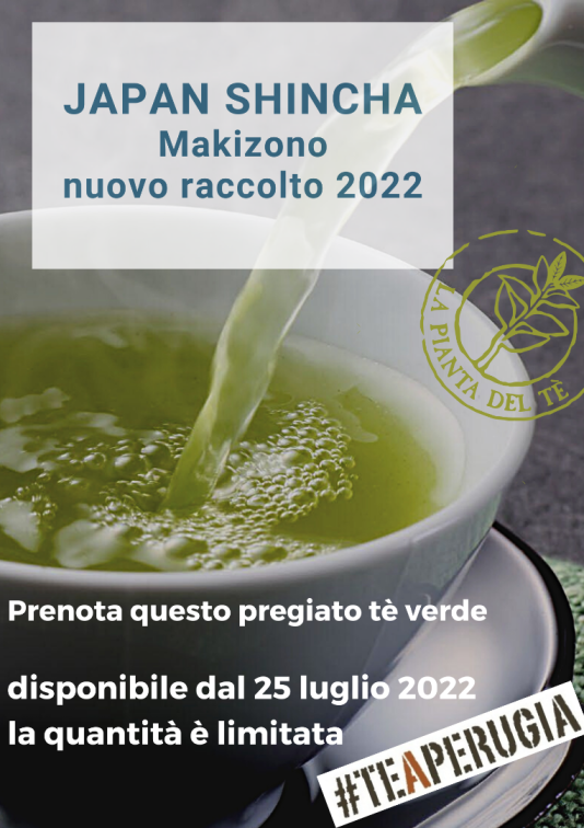 japan-shincha-makizono-nuovo-raccolto-2022-la-pianta-del-te