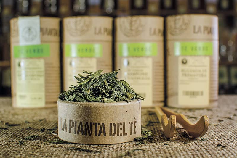 Ampio assortimento di tè puri e aromatizzati in foglia #TEAPERUGIA La Pianta del Tè
