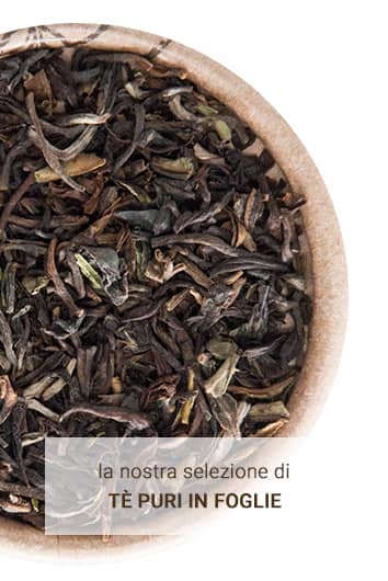 Tè puri in foglie La Pianta del Tè