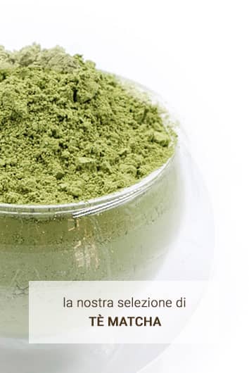 Tè Matcha La Pianta del Tè