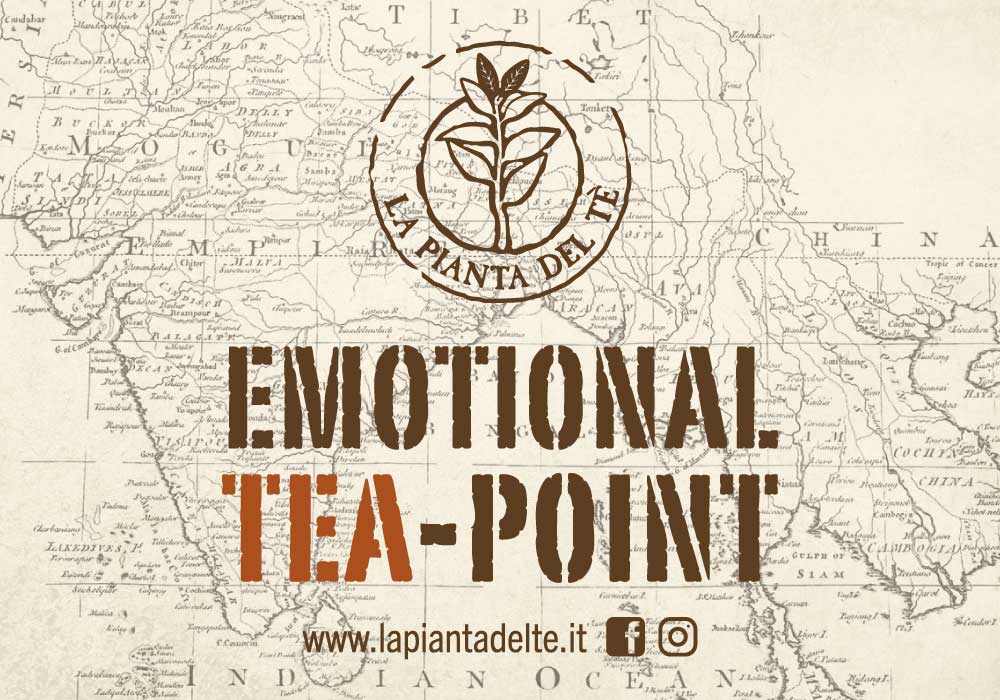 Diventa un Emotional Tea Point - La Pianta del Tè Perugia, Umbria
