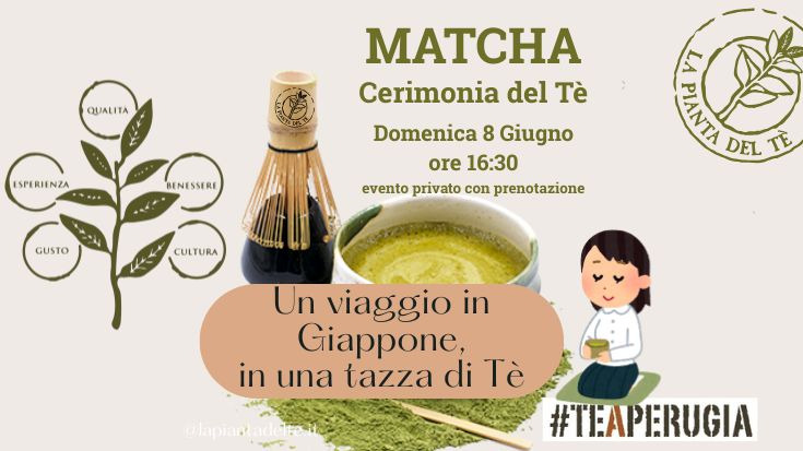 WABI CHA la cerimonia del MATCHA